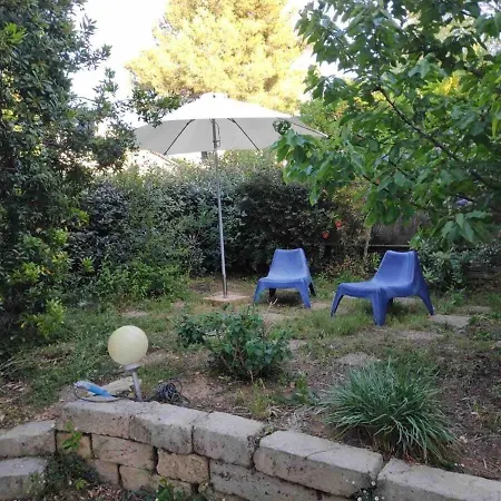 Le Nid De La Canopee * Montpellier